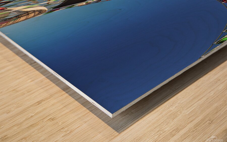 Roller Coaster Wood print