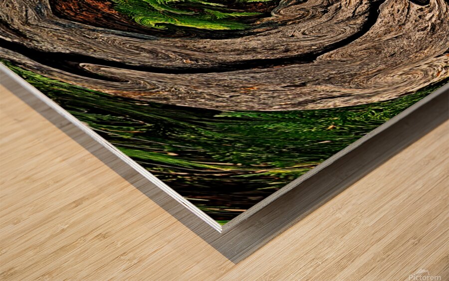 Jungle Gate Wood print