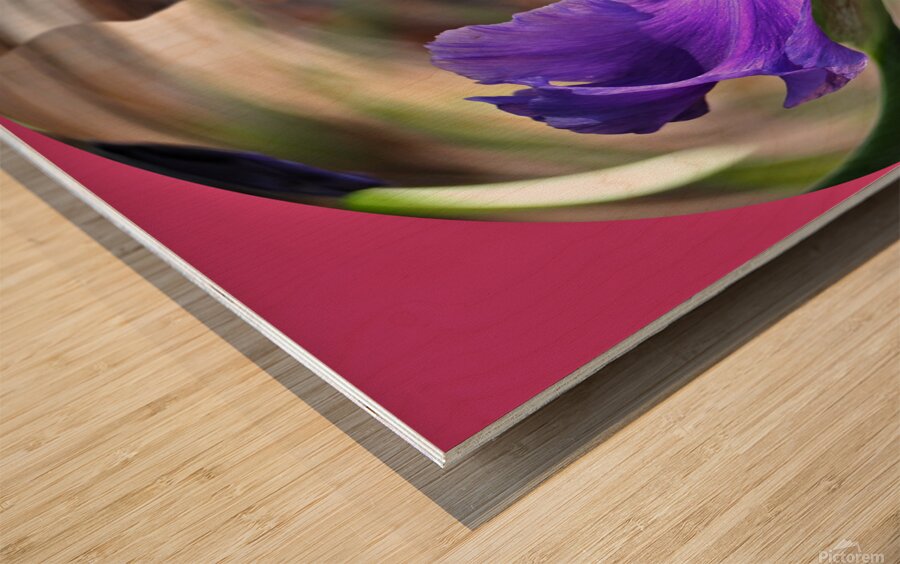 Iris in a crystal bowl Wood print