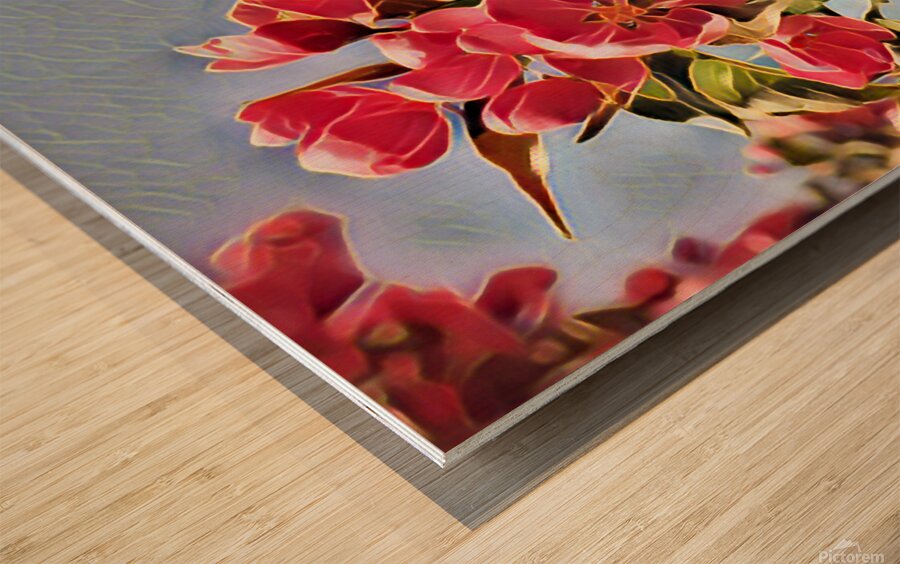 Malus Flower 1 Wood print