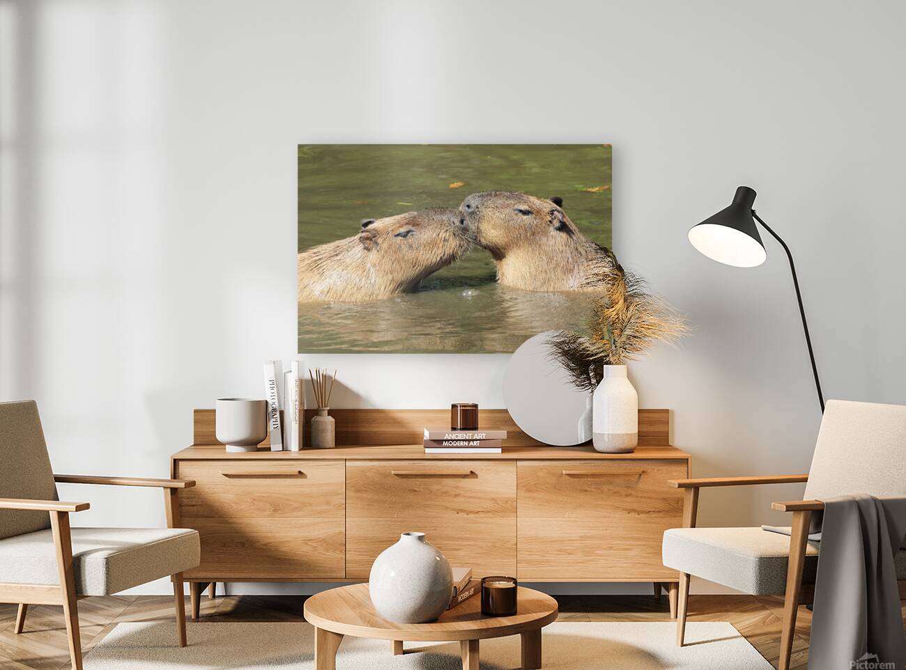 Capybara Love Reproduction