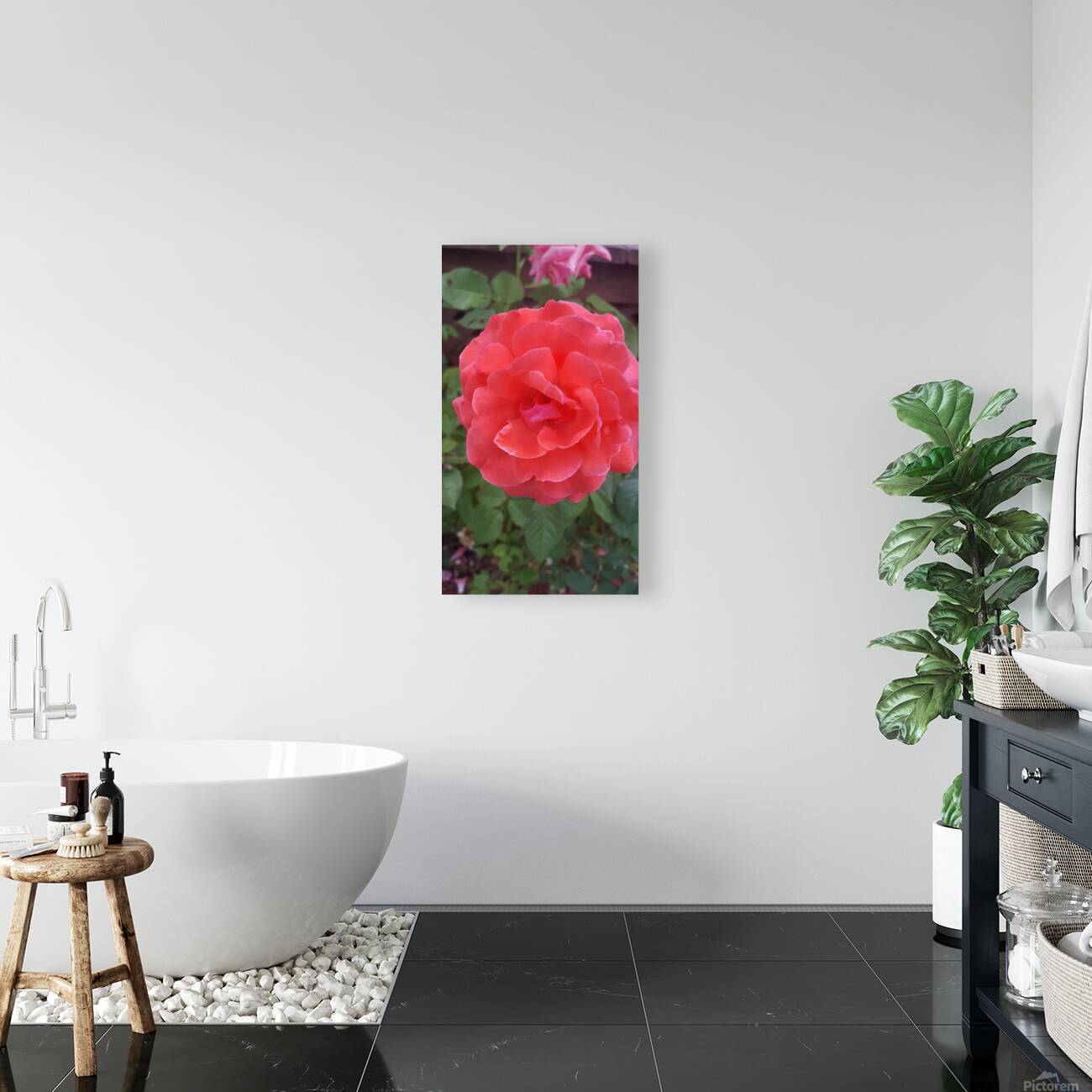 received 1596883514545421 Reproduction