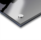 Mockingbird Silhouette on Steel Blue Acrylic print