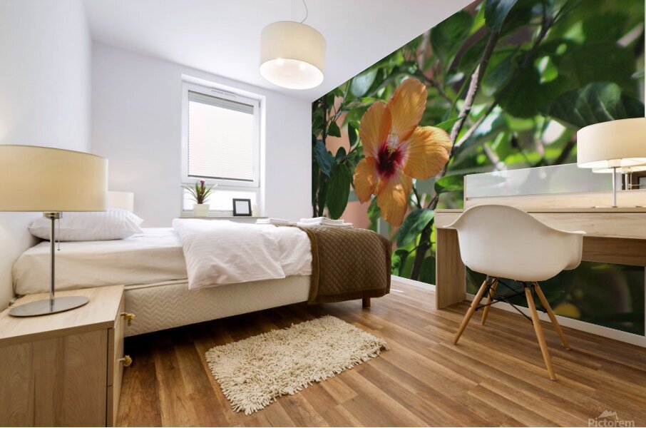 Salmon Hibiscus Mural print