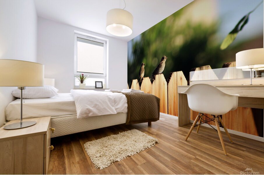 Sparrows on a Fence Mural print