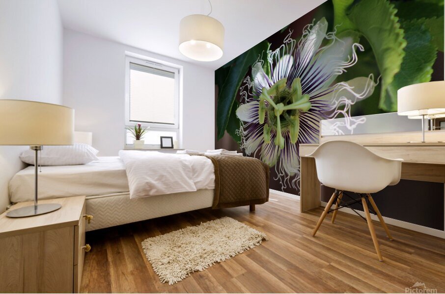 Passion Flower Mural print