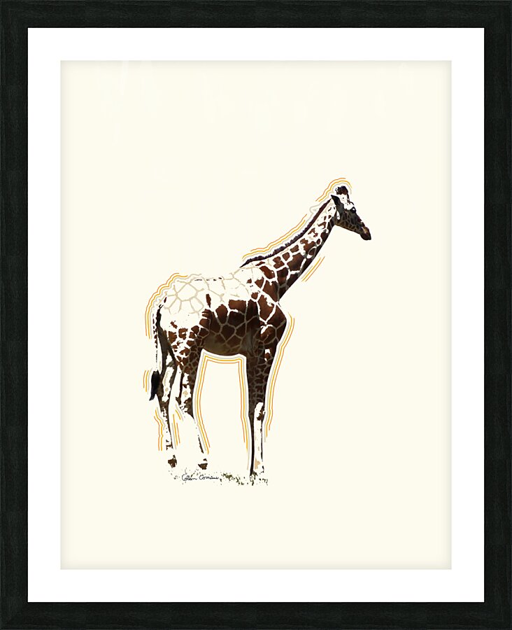 Giraffe Fading Picture Frame print