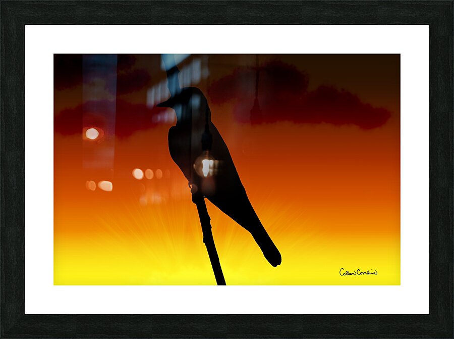 Mockingbird Silhouette Picture Frame print