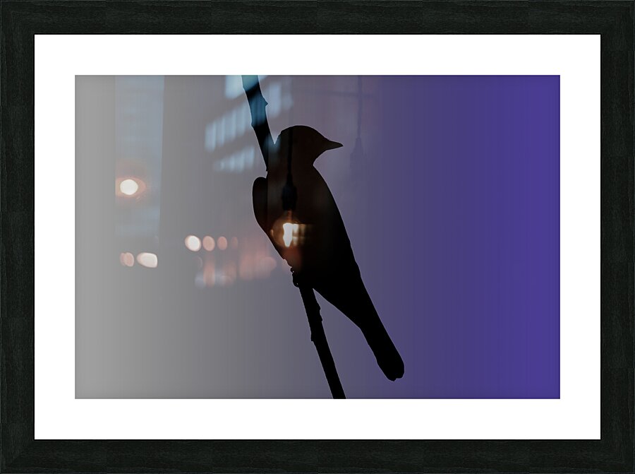 Mockingbird Silhouette on Steel Blue Picture Frame print