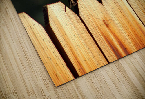 Sparrows on a Fence Photography and Digital Art By Colleen puzzle