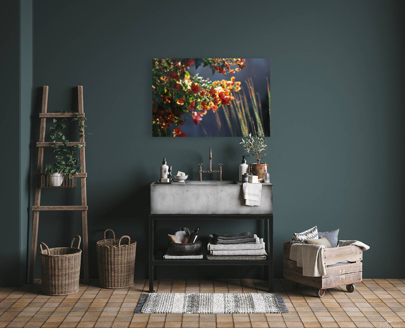 Salmon Bougainvillea in Sunlight Landscape Reproduction