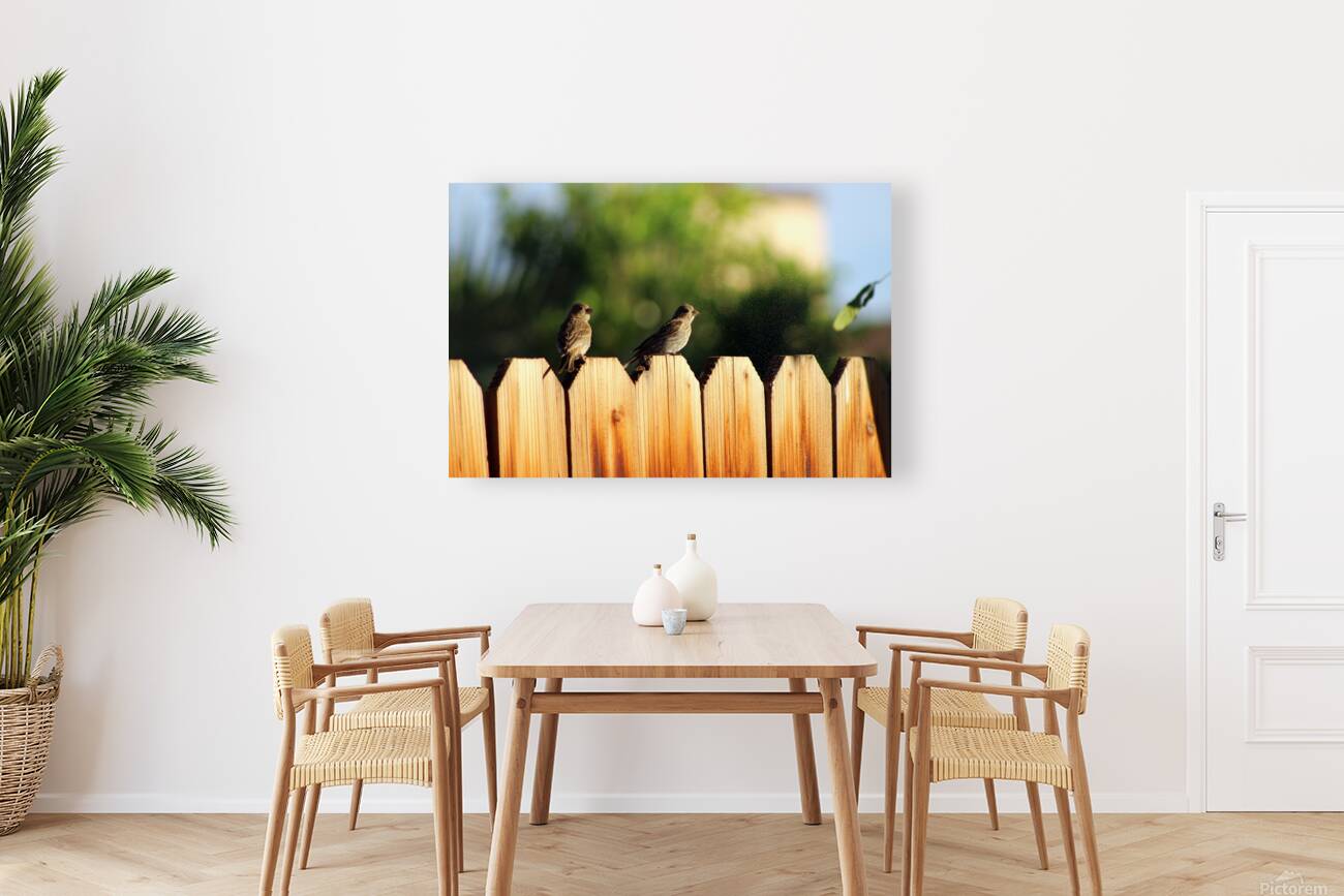 Sparrows on a Fence Reproduction