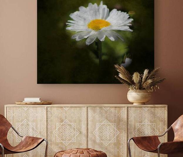 Daisy Digital Art by Photography and Digital Art By Colleen