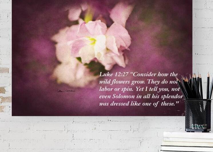 Luke 12:27 Bible Quote On Pink Flower by Photography and Digital Art By Colleen
