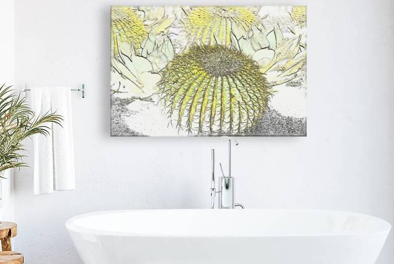 Barrel Cactus Embossed by Photography and Digital Art By Colleen