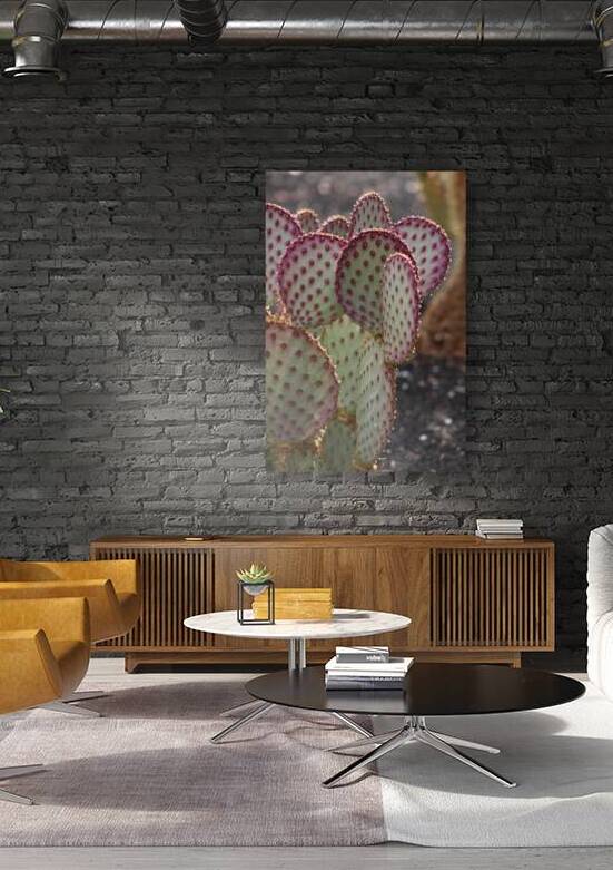 Closeup of Purple Cactus by Photography and Digital Art By Colleen