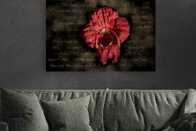 Red Flower on Grunge Text by Photography and Digital Art By Colleen