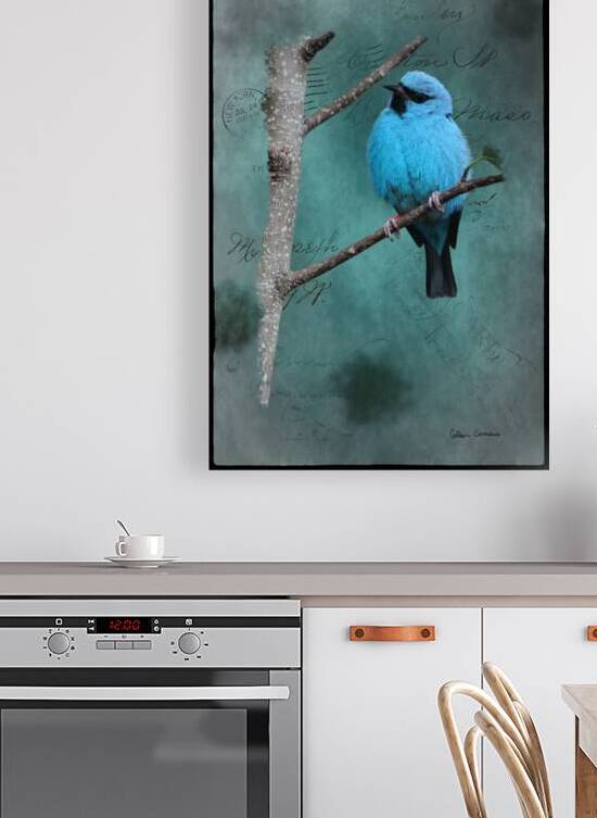 Blue Bird on Branch Mixed Media by Photography and Digital Art By Colleen