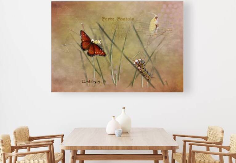 Painted Lady Mixed Media  by Photography and Digital Art By Colleen