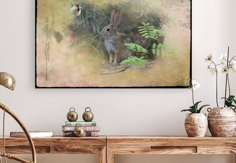 Hidden Rabbit Mixed Media by Photography and Digital Art By Colleen