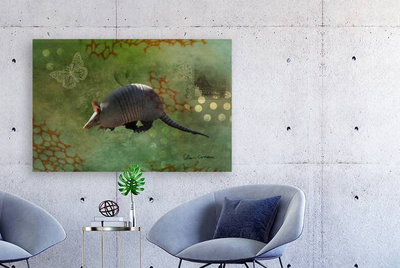 An Armadillos Life by Photography and Digital Art By Colleen