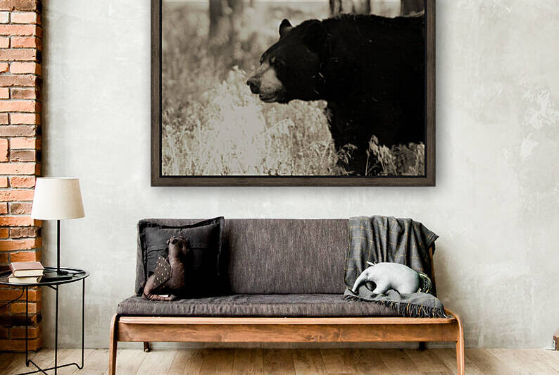 Bear Walking in Sepia - Arizona by Photography and Digital Art By Colleen
