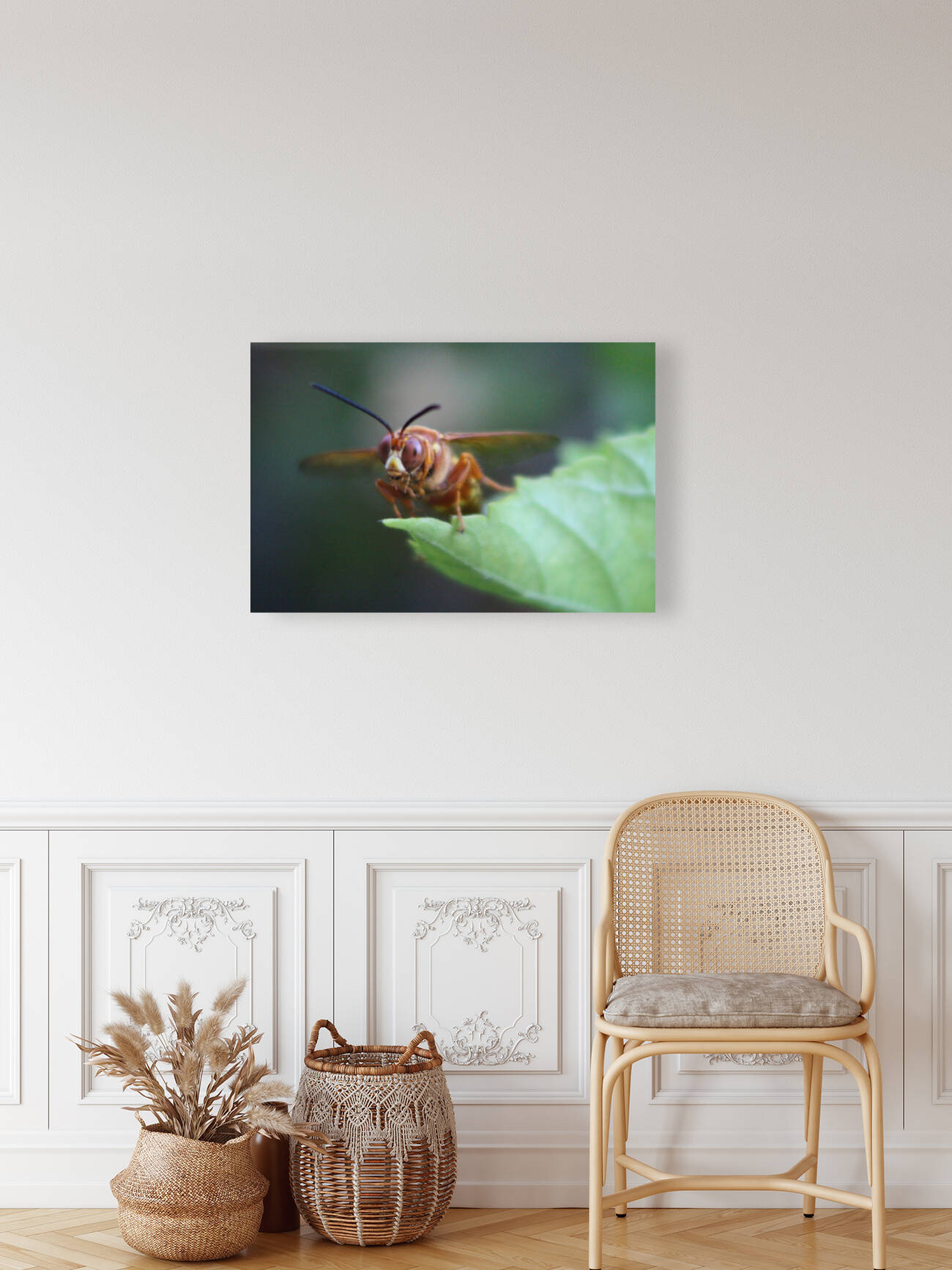  Closeup of a Cicada Killer by Photography and Digital Art By Colleen
