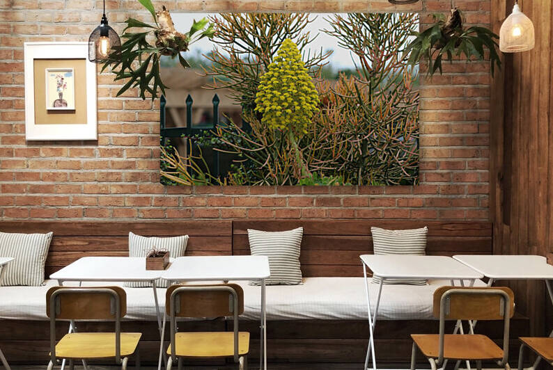Pencil Plants and Fence Nature Photograph by Photography and Digital Art By Colleen