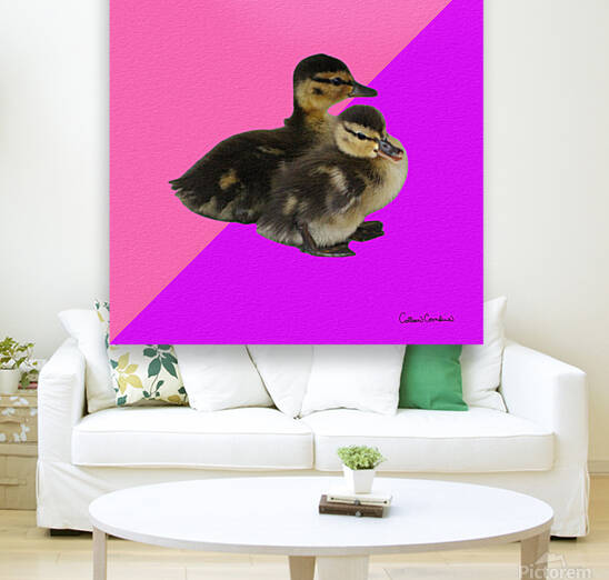 Baby Ducks on Pink Raspberry and Purple Sorbet by Photography and Digital Art By Colleen