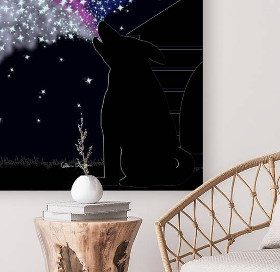 A Summer Night with Sirius by Photography and Digital Art By Colleen