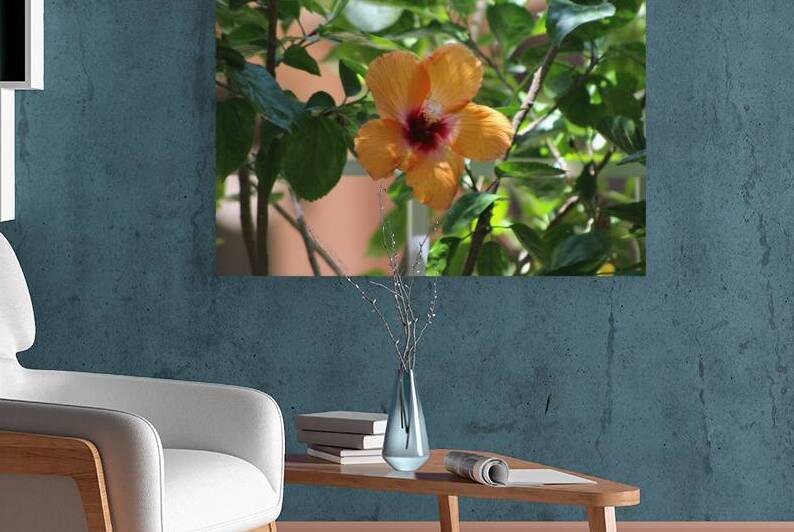 Salmon Hibiscus by Photography and Digital Art By Colleen