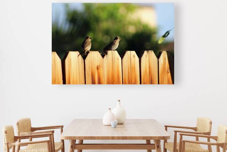 Sparrows on a Fence by Photography and Digital Art By Colleen