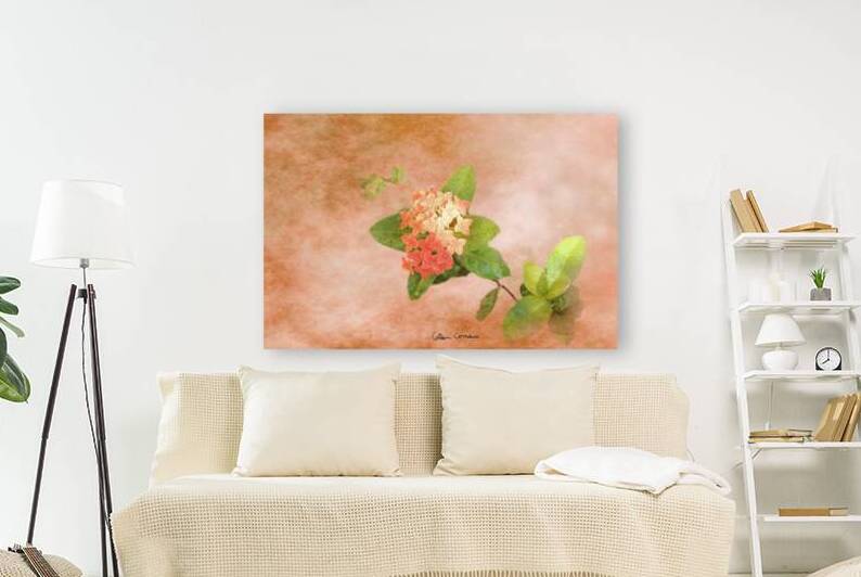 Peach flower Digital Art by Photography and Digital Art By Colleen