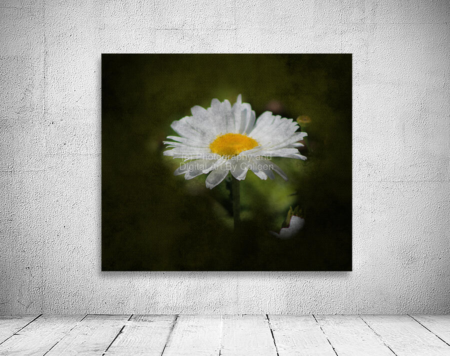 Daisy Digital Art Wall Preview