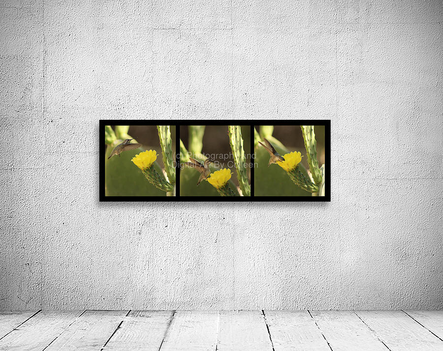 Hummingbird On Yellow Cactus Blossom Triptych Wall Preview