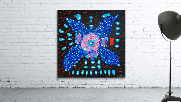Starfish Wall Preview