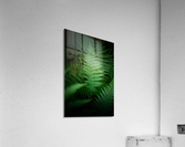  DSC4924 3 Acrylic Print