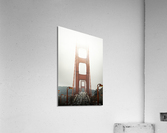  DSC4913 3 Acrylic Print