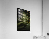 DSC4924 4 Acrylic Print