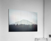  DSC5060 Acrylic Print