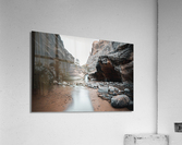  DSC9045 Acrylic Print