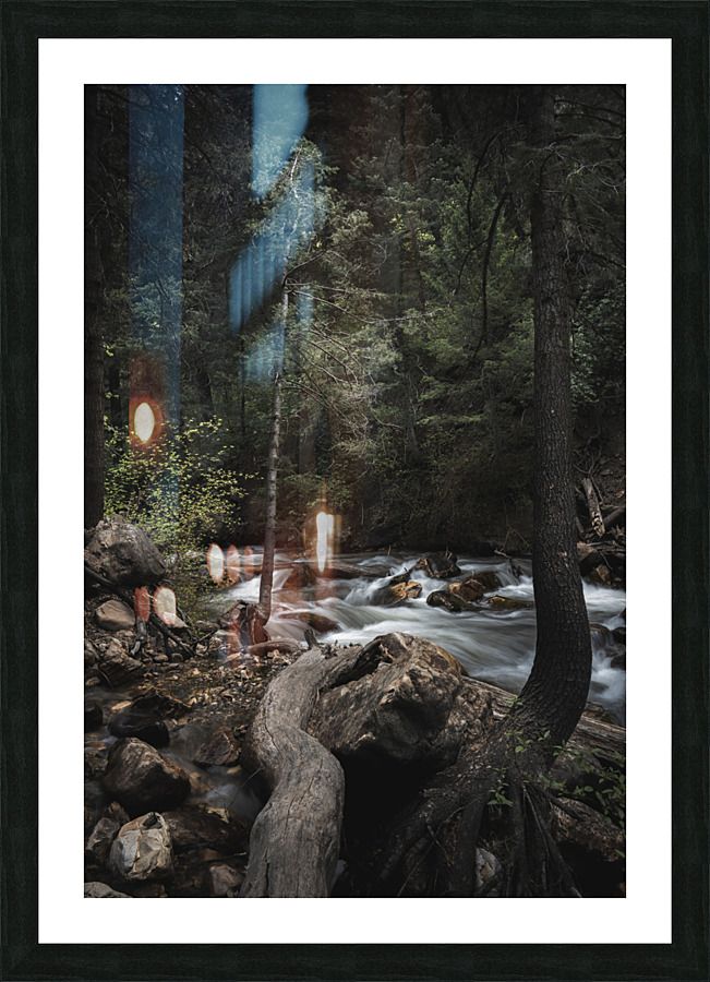  DSC1721 3 Picture Frame print
