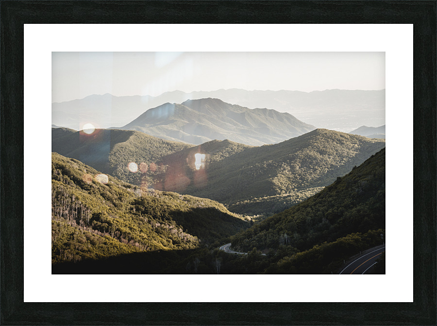  DSC2712 Picture Frame print