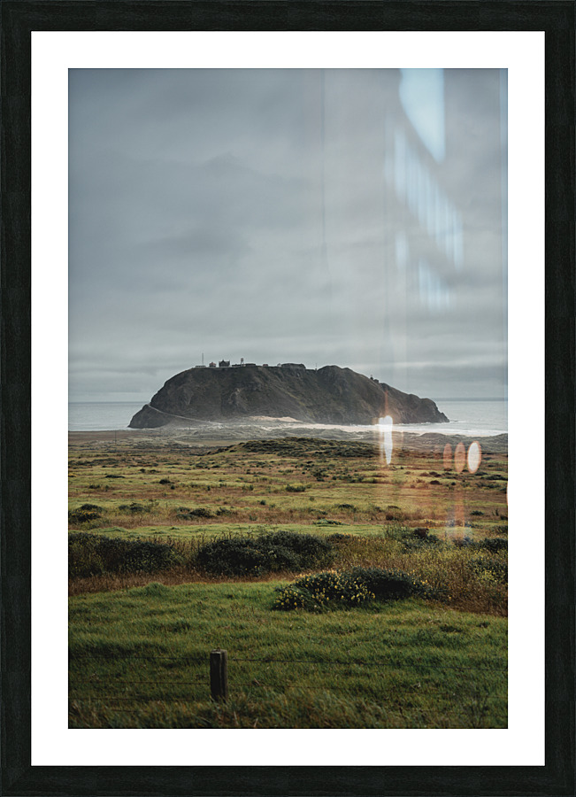  DSC4878 Picture Frame print
