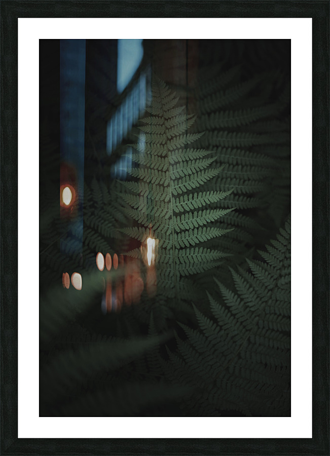  DSC4924 2 Picture Frame print