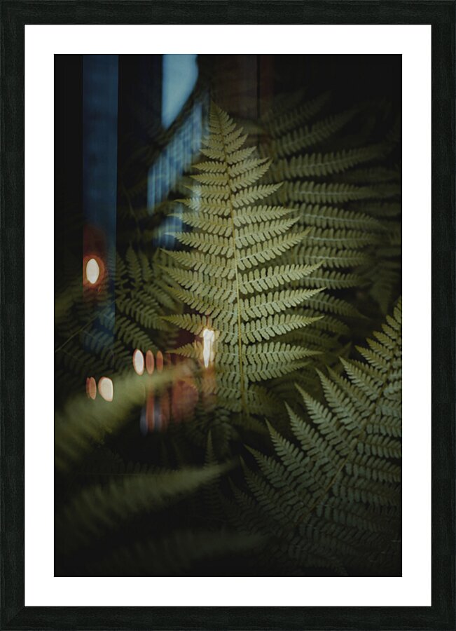  DSC4924 4 Picture Frame print
