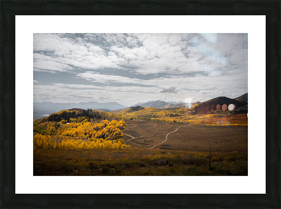  DSC7855 Picture Frame print