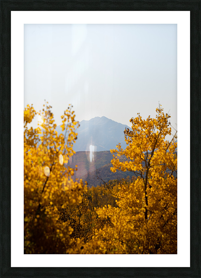  DSC8047 2 Picture Frame print