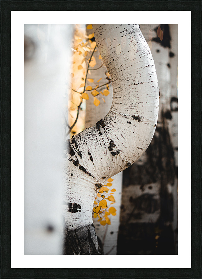  DSC8042 Picture Frame print