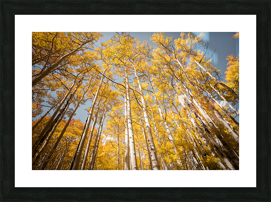  DSC7966 Picture Frame print